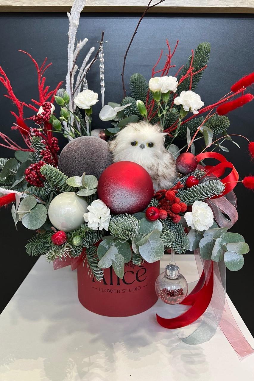 Волшебный Нобилис