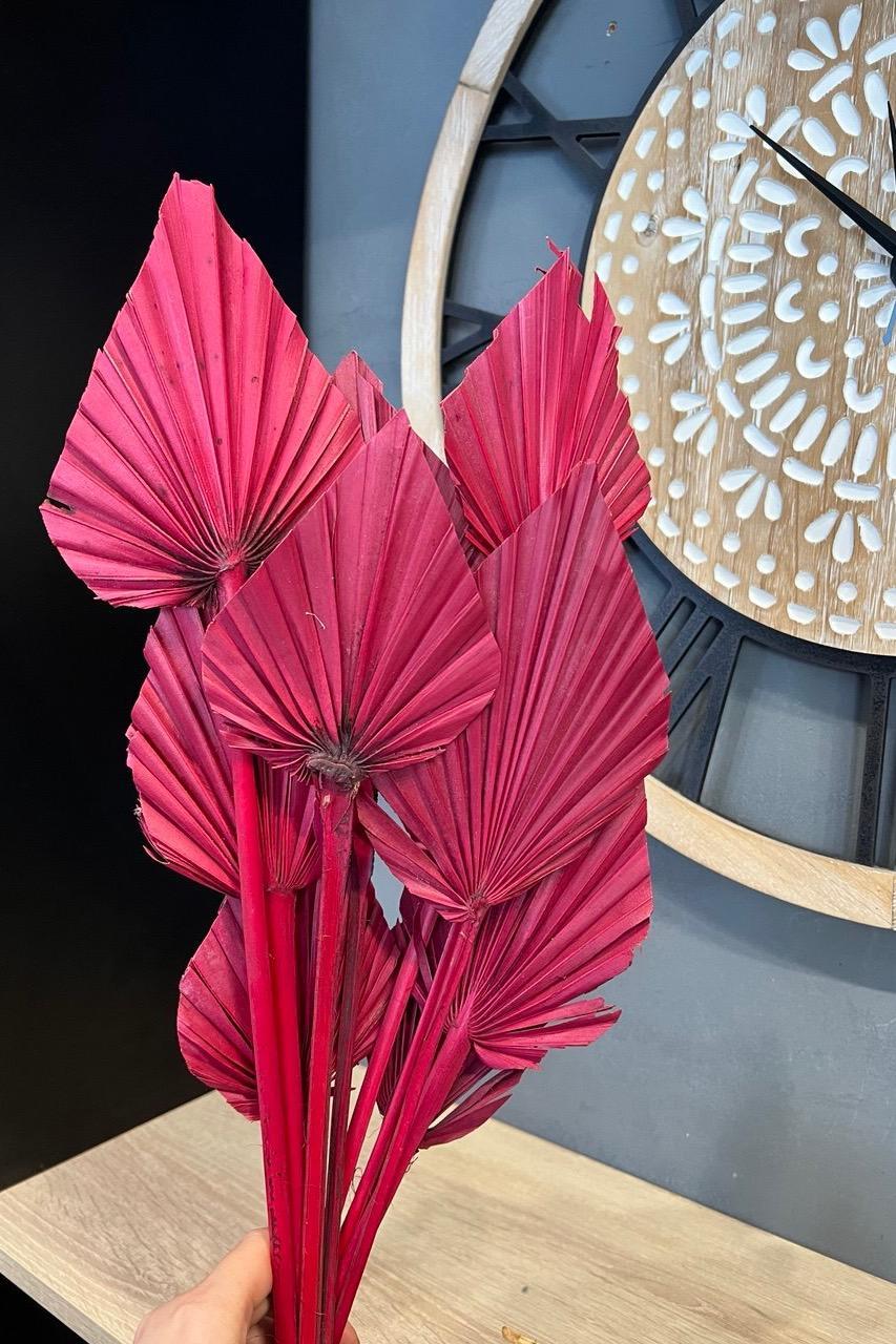 Сухоцвет пальма