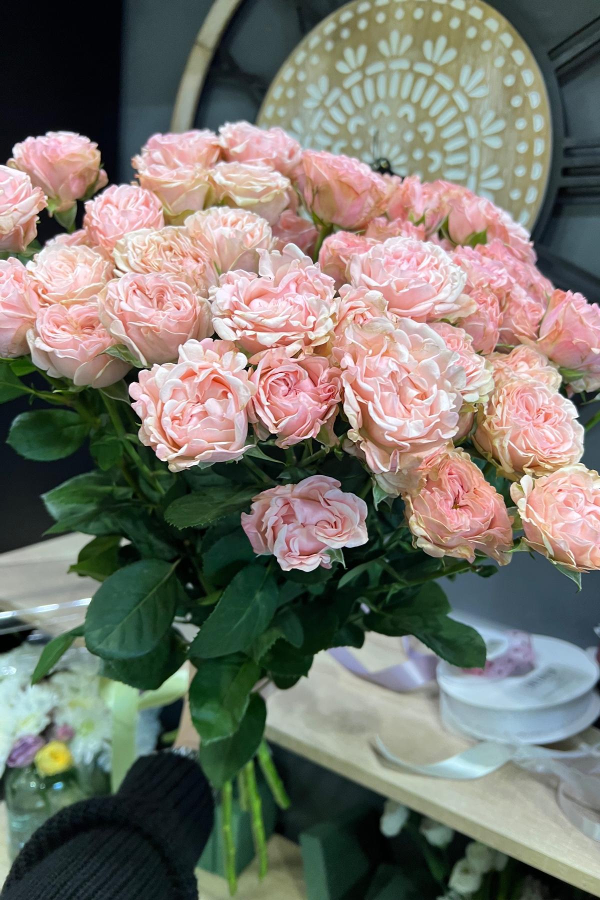 Роза кустовая 70 см